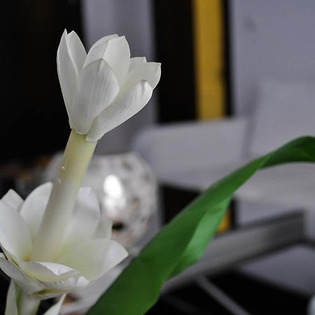 Andromeda Hotel Thessaloníki Ngoại thất bức ảnh