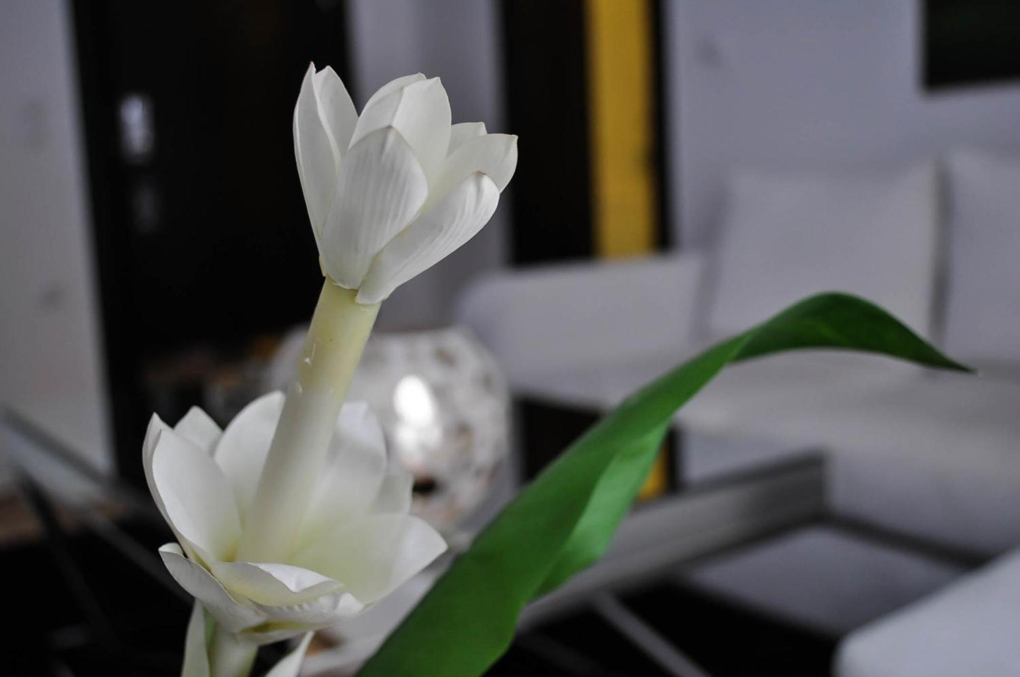 Andromeda Hotel Thessaloníki Ngoại thất bức ảnh